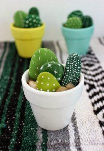 cactus-plantas-colores-materiales-1